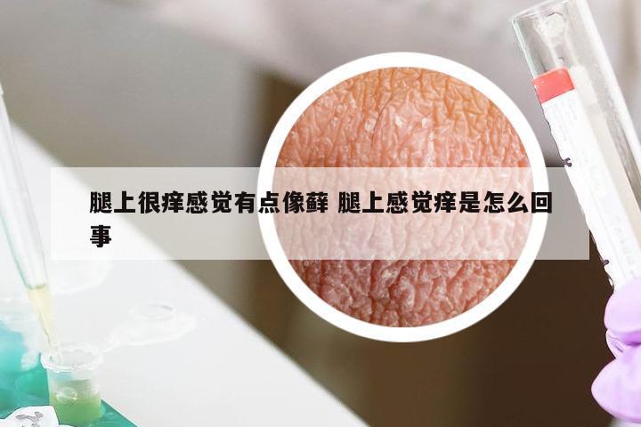 腿上很痒感觉有点像藓 腿上感觉痒是怎么回事